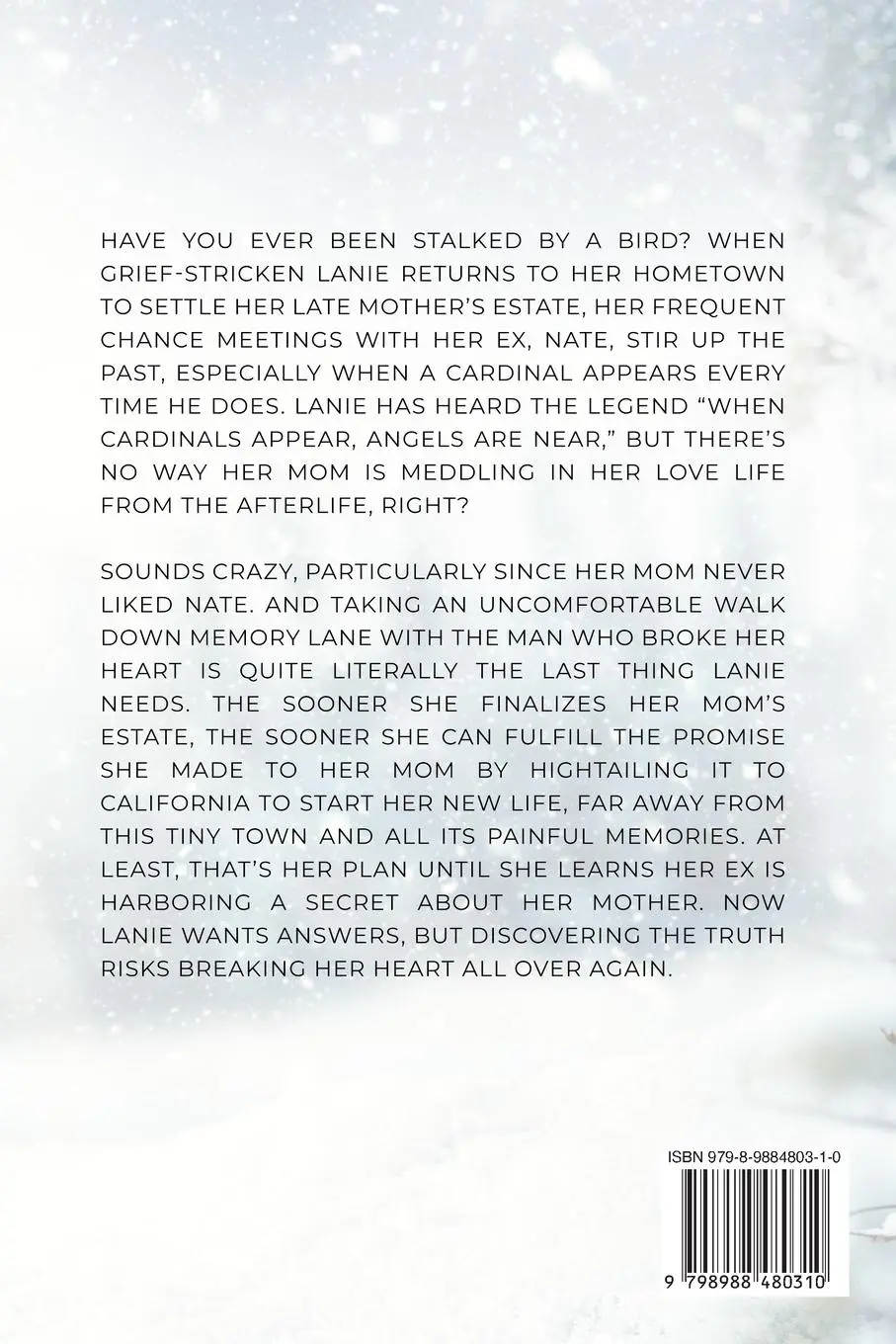 Rückseite: 9798988480310 | When Cardinals Appear | Katie Eagan Schenck | Taschenbuch | Englisch