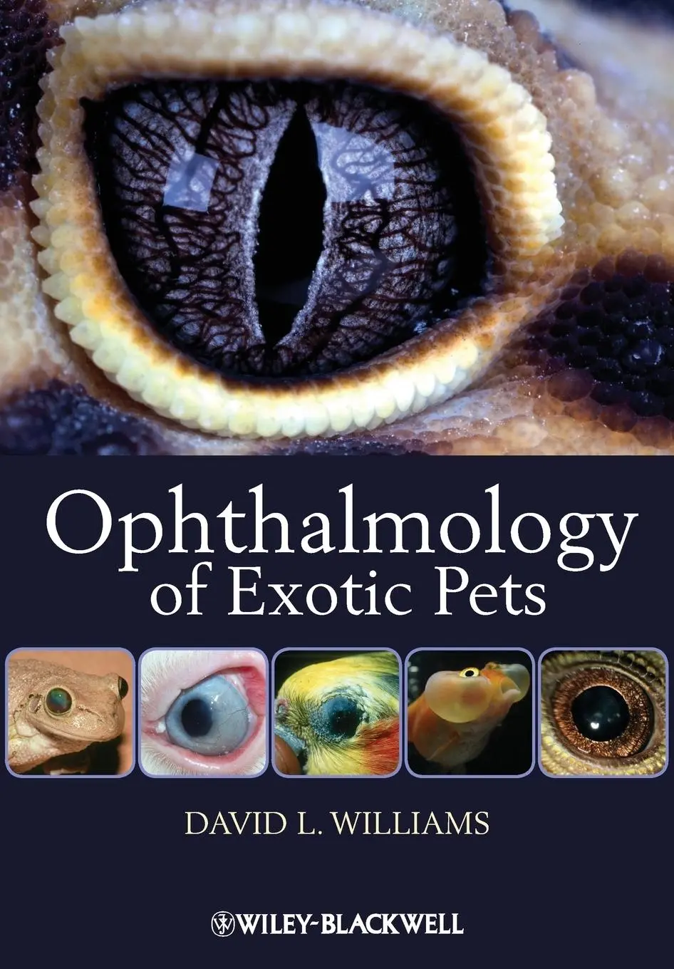 Cover: 9781444330410 | Ophthalmology of Exotic Pets | David L Williams | Taschenbuch | 246 S.