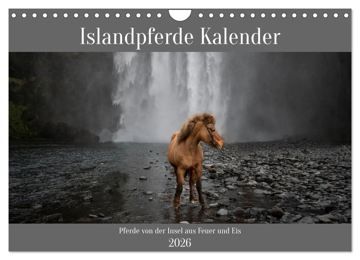 Cover: 9783457620410 | Islandpferde Kalender - Pferde von der Insel aus Feuer und Eis...