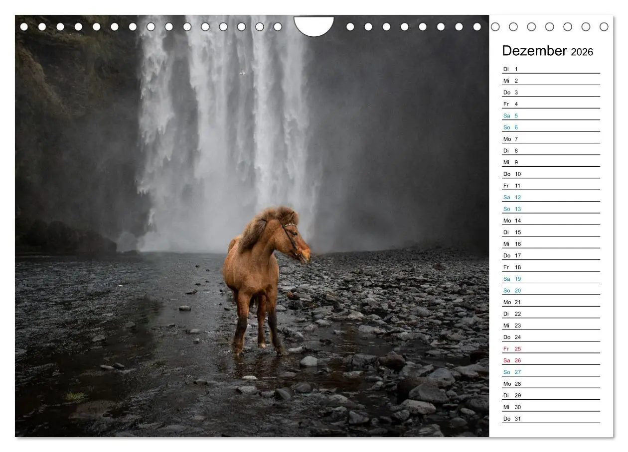 Bild: 9783457620410 | Islandpferde Kalender - Pferde von der Insel aus Feuer und Eis...