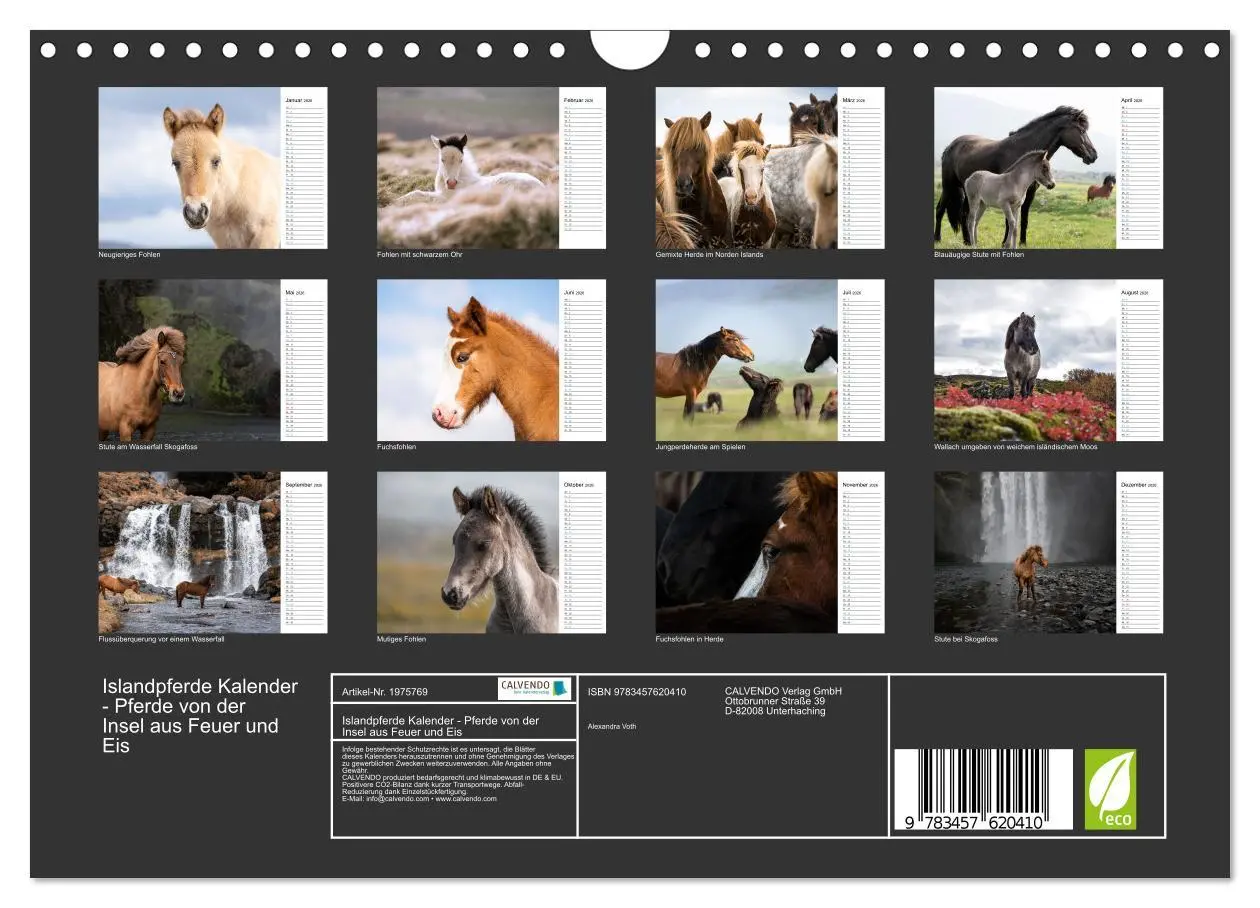 Bild: 9783457620410 | Islandpferde Kalender - Pferde von der Insel aus Feuer und Eis...