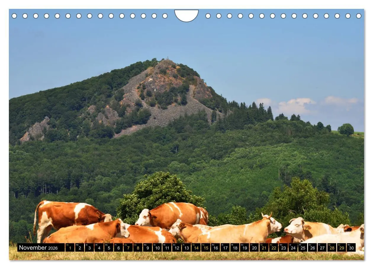 Bild: 9783457860410 | Rhöner Impressionen (Wandkalender 2026 DIN A4 quer), CALVENDO...