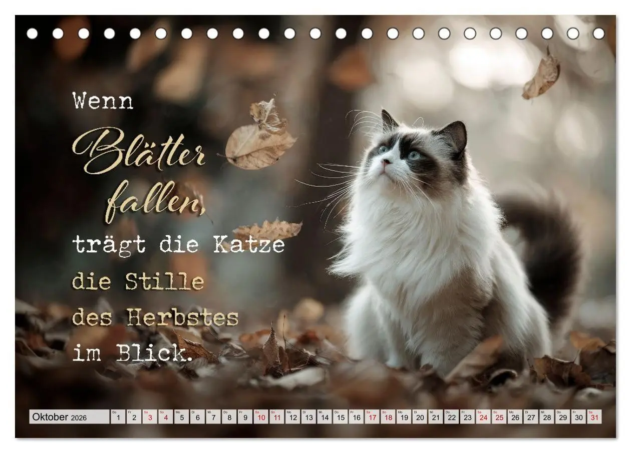 Bild: 9783516710410 | Katzenpoesie - Herzberührende Verse (Tischkalender 2026 DIN A5...