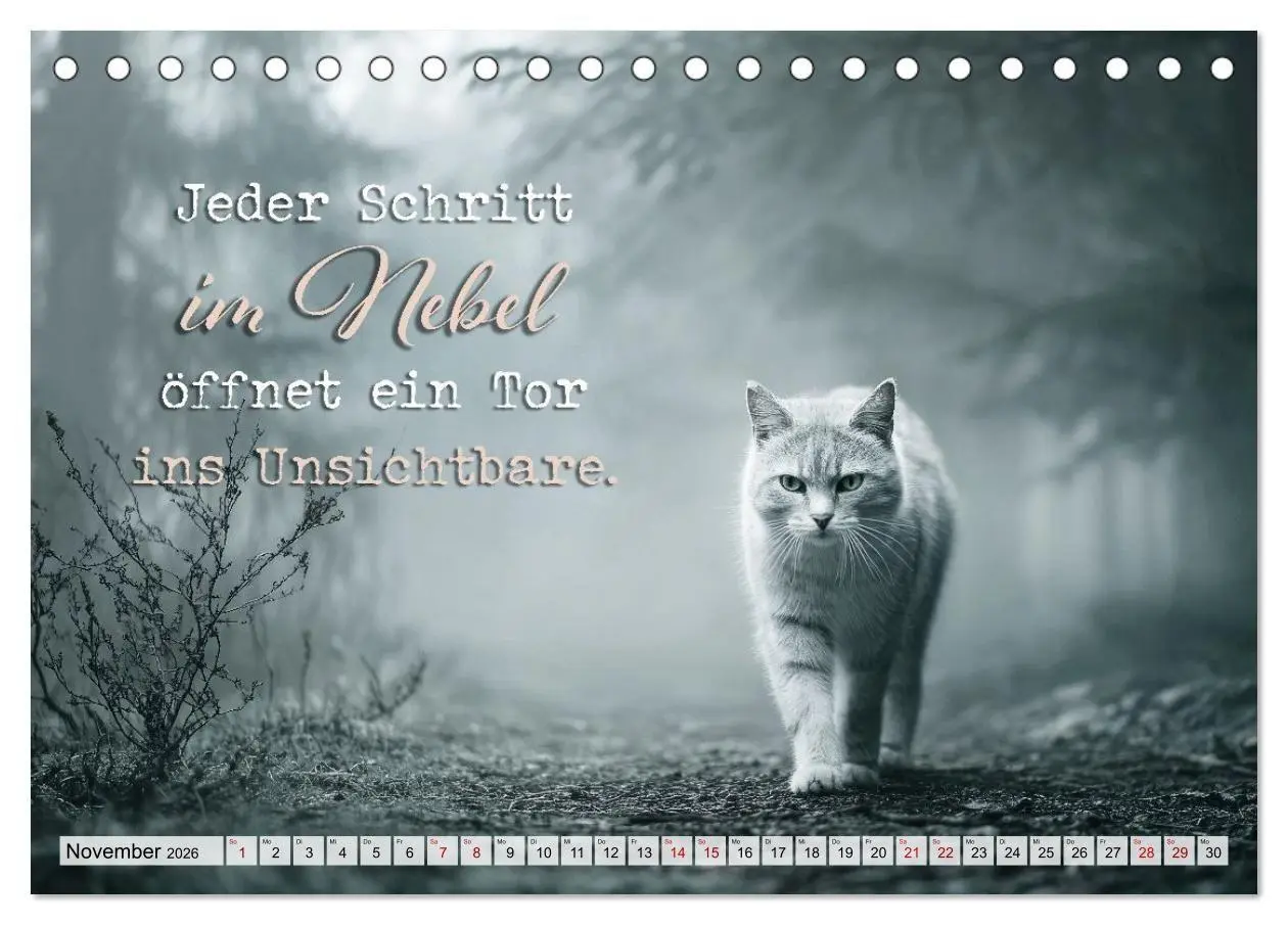 Bild: 9783516710410 | Katzenpoesie - Herzberührende Verse (Tischkalender 2026 DIN A5...