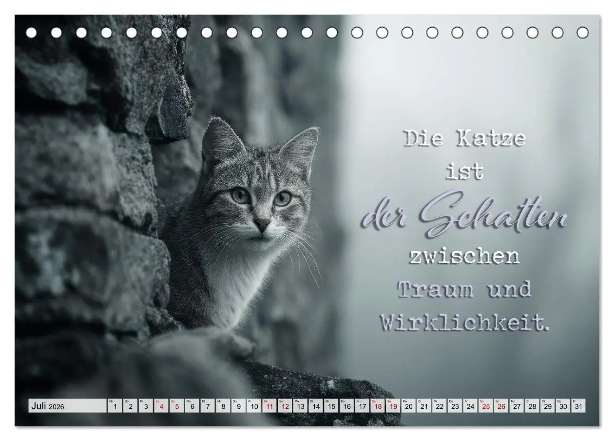 Bild: 9783516710410 | Katzenpoesie - Herzberührende Verse (Tischkalender 2026 DIN A5...