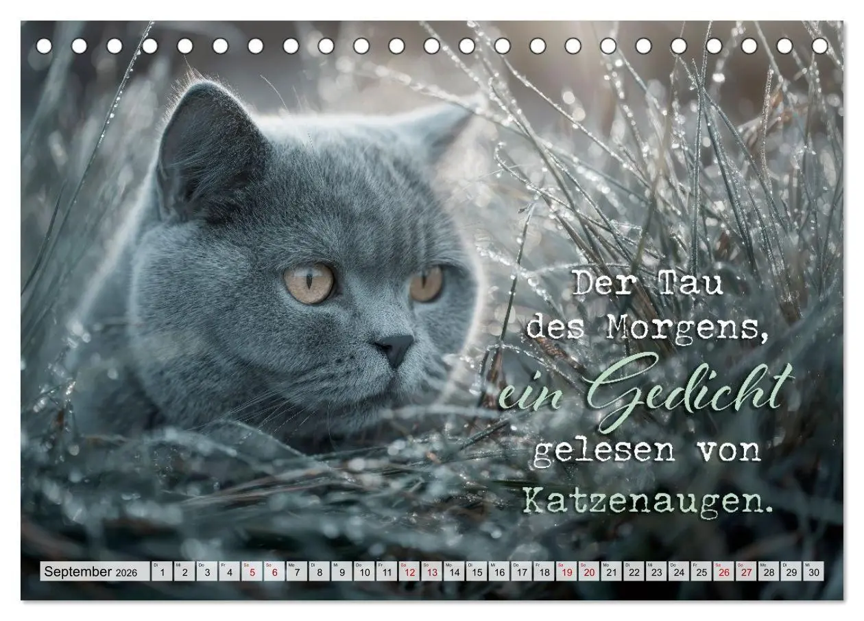 Bild: 9783516710410 | Katzenpoesie - Herzberührende Verse (Tischkalender 2026 DIN A5...
