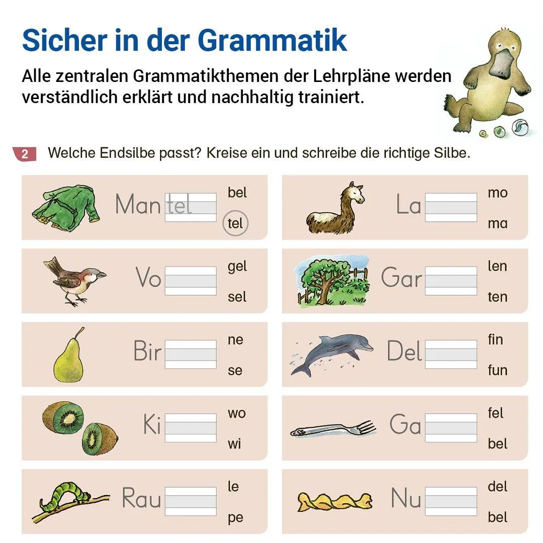 Bild: 9783619220410 | Grammatik mit Rico Schnabel, Klasse 2 | Stefanie Drecktrah (u. a.)