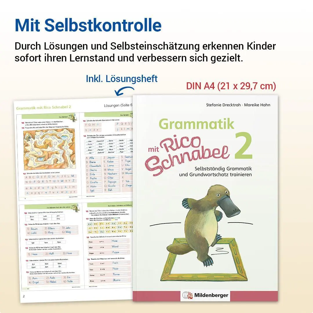 Bild: 9783619220410 | Grammatik mit Rico Schnabel, Klasse 2 | Stefanie Drecktrah (u. a.)