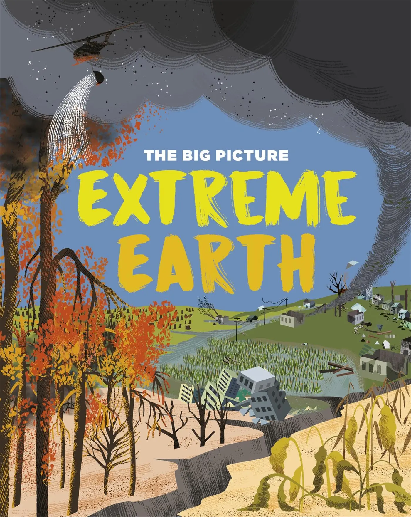 Cover: 9781445170510 | The Big Picture: Extreme Earth | Jon Richards | Taschenbuch | Englisch