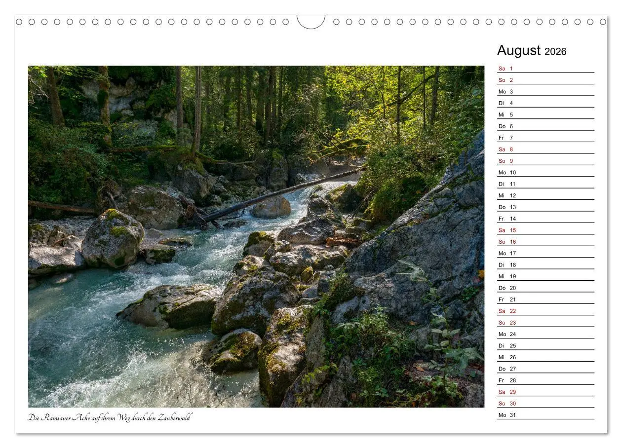 Bild: 9783457850510 | Rund um den Hintersee und Zauberwald (Wandkalender 2026 DIN A3...