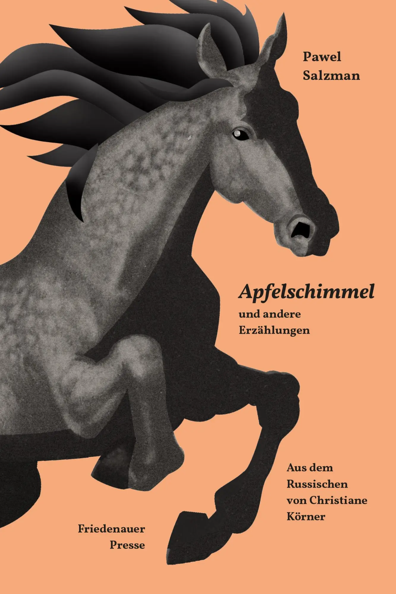 Cover: 9783751880510 | Apfelschimmel | und andere Erzählungen | Pawel Salzman | Taschenbuch