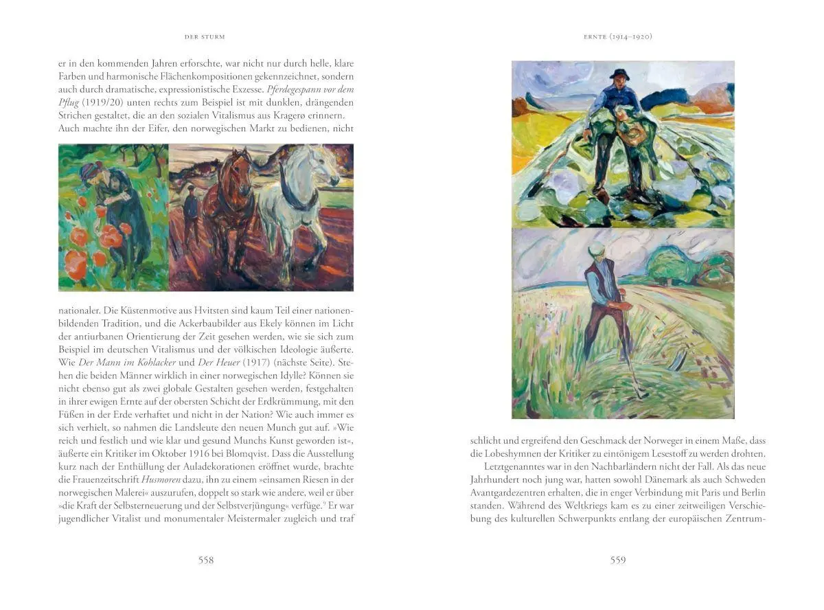 Bild: 9788284620510 | Der Sturm. Eine Biografie über Edvard Munch | Ivo de Figueiredo | Buch