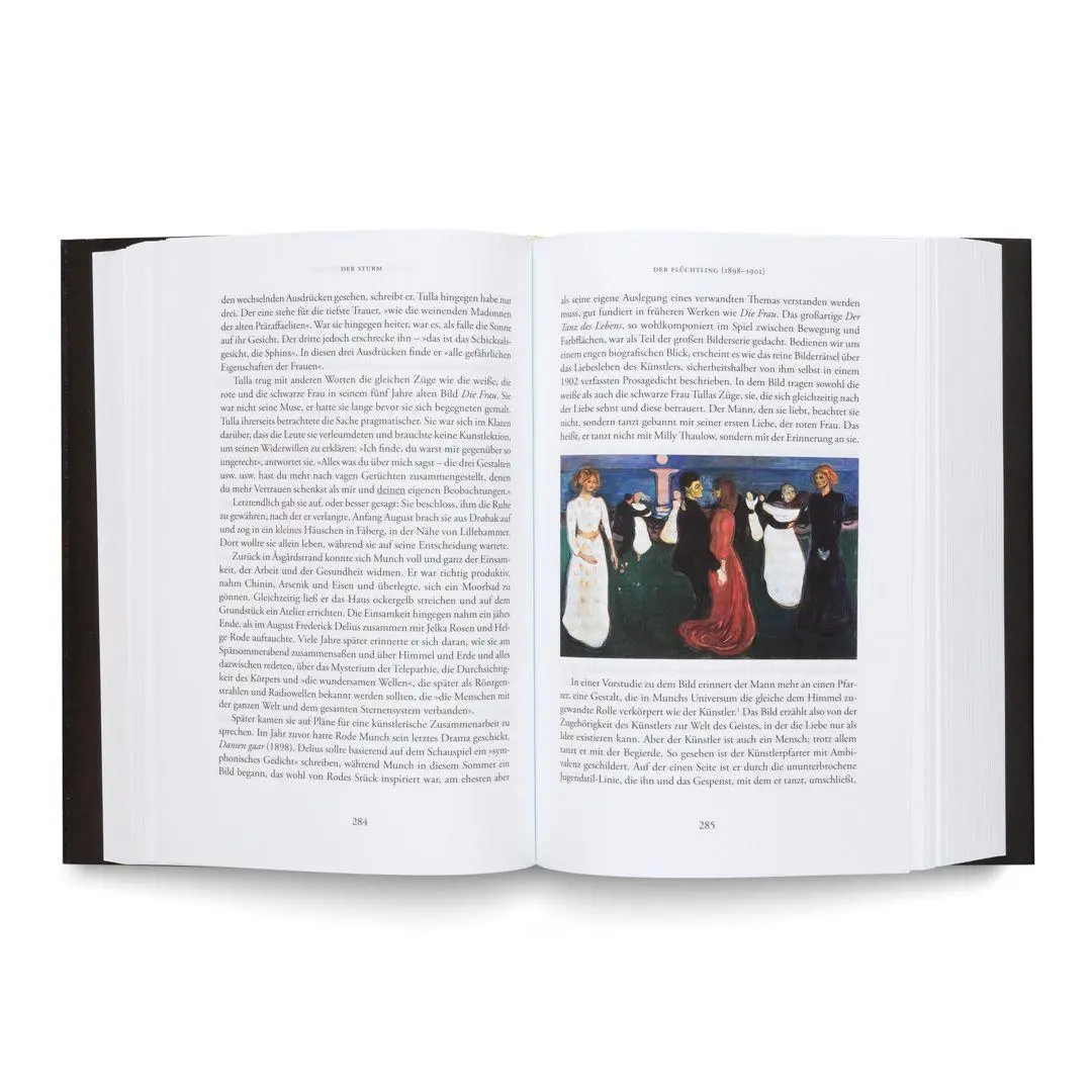 Bild: 9788284620510 | Der Sturm. Eine Biografie über Edvard Munch | Ivo de Figueiredo | Buch