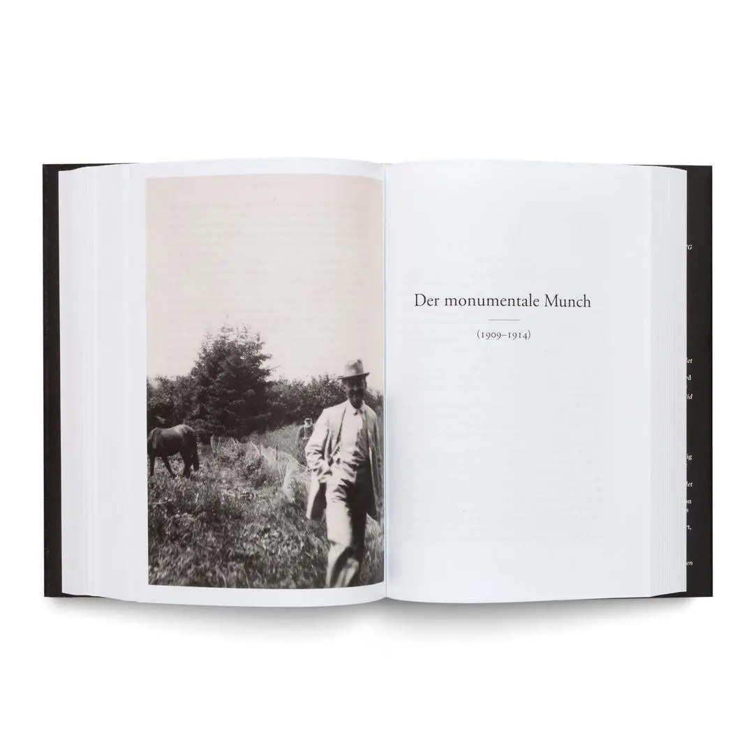 Bild: 9788284620510 | Der Sturm. Eine Biografie über Edvard Munch | Ivo de Figueiredo | Buch