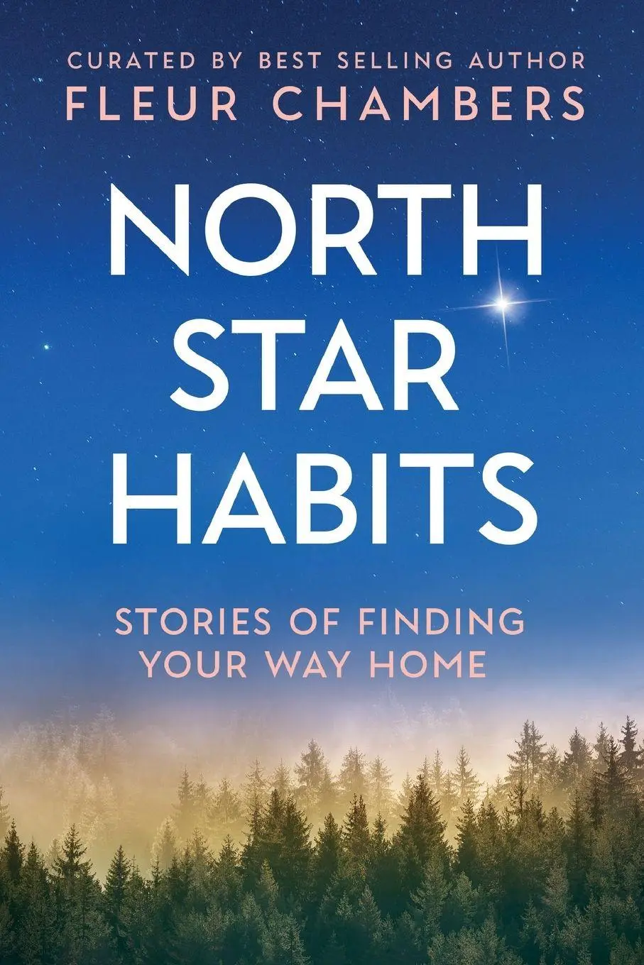 Cover: 9781763640610 | North Star Habits | Stories of Finding Your Way Home | Taschenbuch