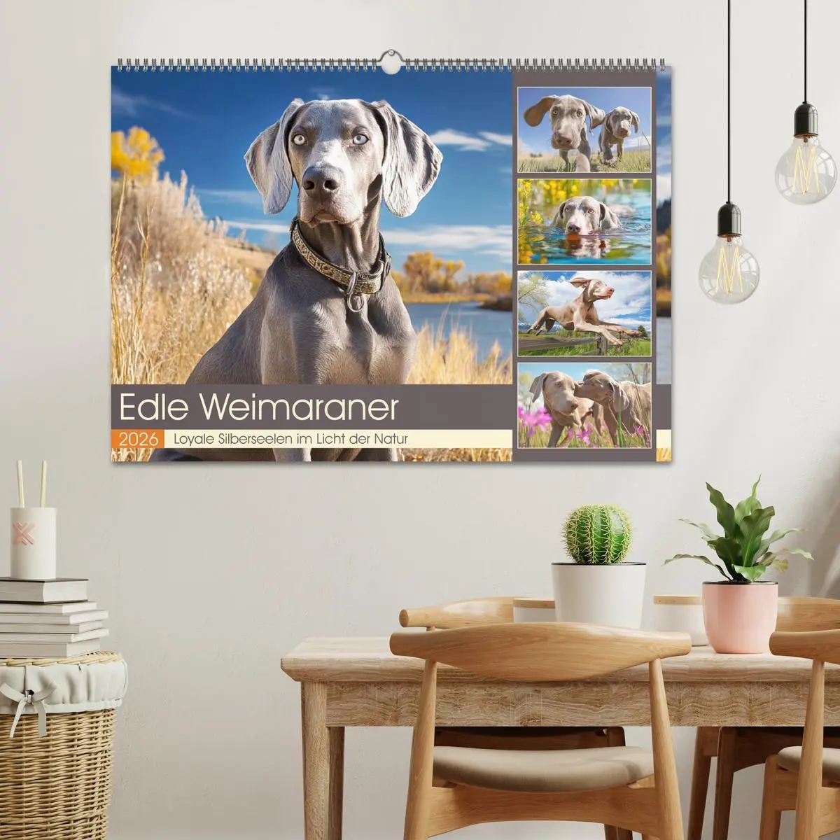 Bild: 9783457910610 | Edle Weimaraner. Loyale Silberseelen im Licht der Natur...