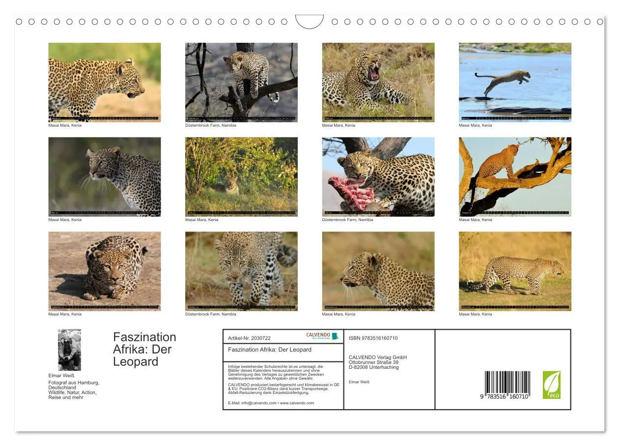 Bild: 9783516160710 | Faszination Afrika: Der Leopard (Wandkalender 2026 DIN A3 quer),...