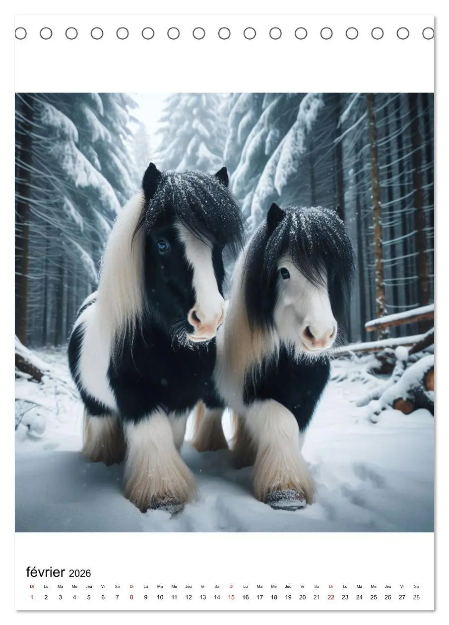 Bild: 9783516540710 | Cob irlandais (Calendrier de bureau 2026 DIN A5 horizontal),...