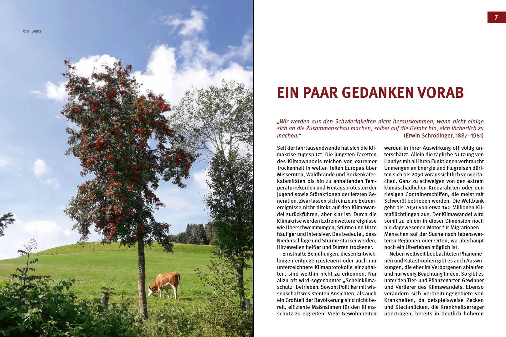Bild: 9783702020910 | Klimawandel - was nun? | Armin Deutz (u. a.) | Buch | 120 S. | Deutsch