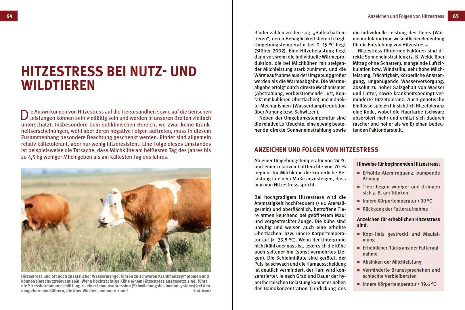 Bild: 9783702020910 | Klimawandel - was nun? | Armin Deutz (u. a.) | Buch | 120 S. | Deutsch