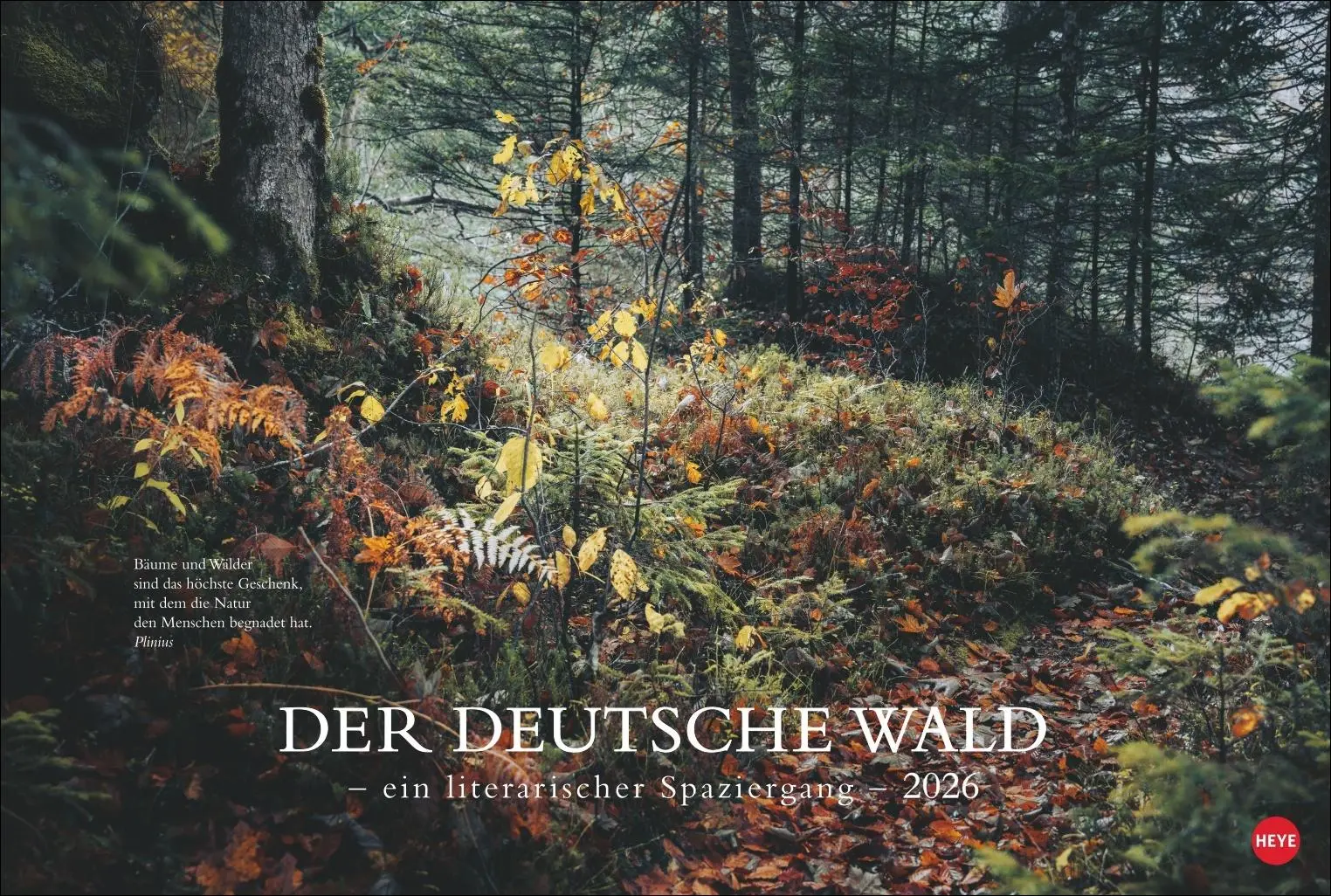 Cover: 9783756410910 | Der deutsche Wald - Ein literarischer Spaziergang Kalender 2026 -...