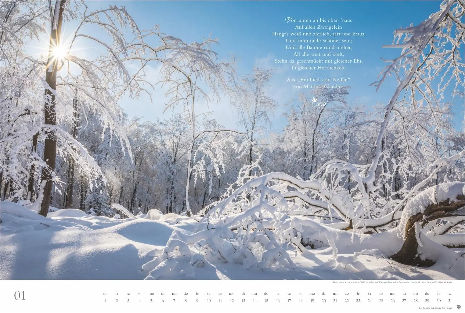 Bild: 9783756410910 | Der deutsche Wald - Ein literarischer Spaziergang Kalender 2026 -...