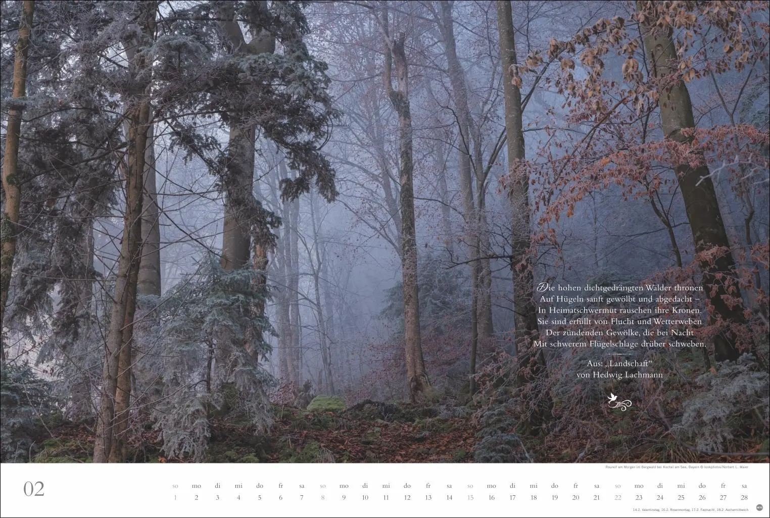 Bild: 9783756410910 | Der deutsche Wald - Ein literarischer Spaziergang Kalender 2026 -...