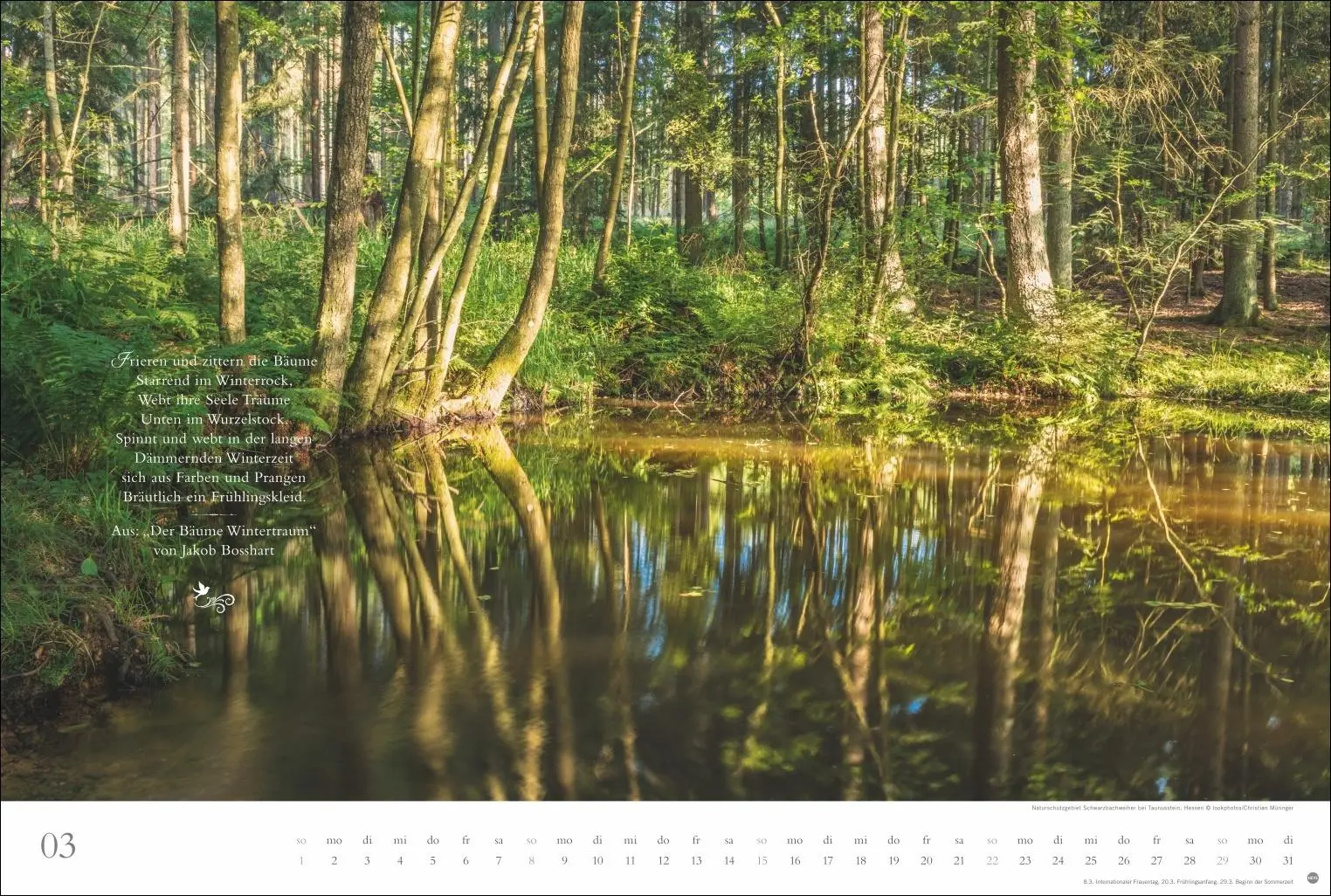 Bild: 9783756410910 | Der deutsche Wald - Ein literarischer Spaziergang Kalender 2026 -...