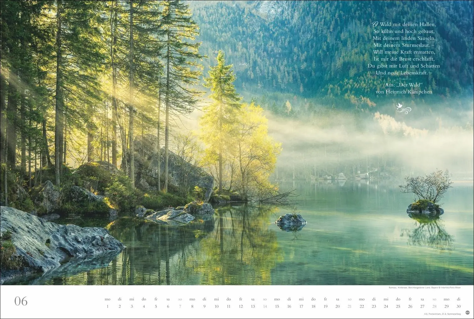 Bild: 9783756410910 | Der deutsche Wald - Ein literarischer Spaziergang Kalender 2026 -...