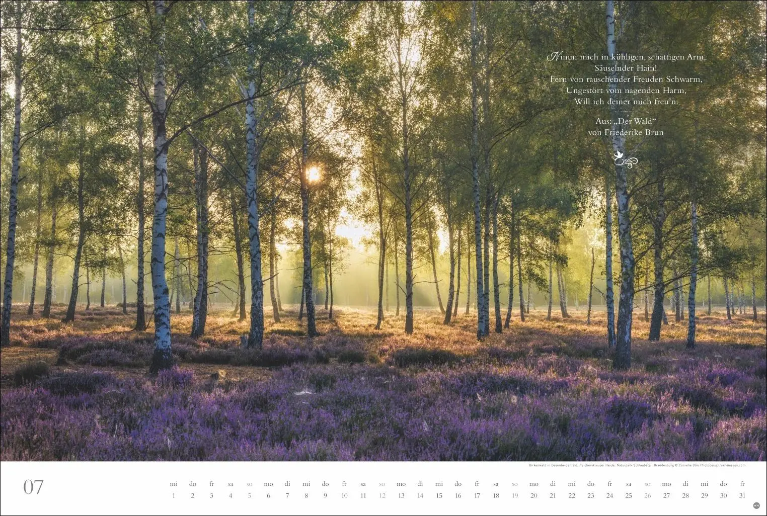 Bild: 9783756410910 | Der deutsche Wald - Ein literarischer Spaziergang Kalender 2026 -...