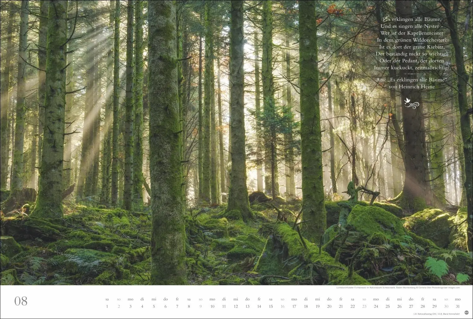 Bild: 9783756410910 | Der deutsche Wald - Ein literarischer Spaziergang Kalender 2026 -...