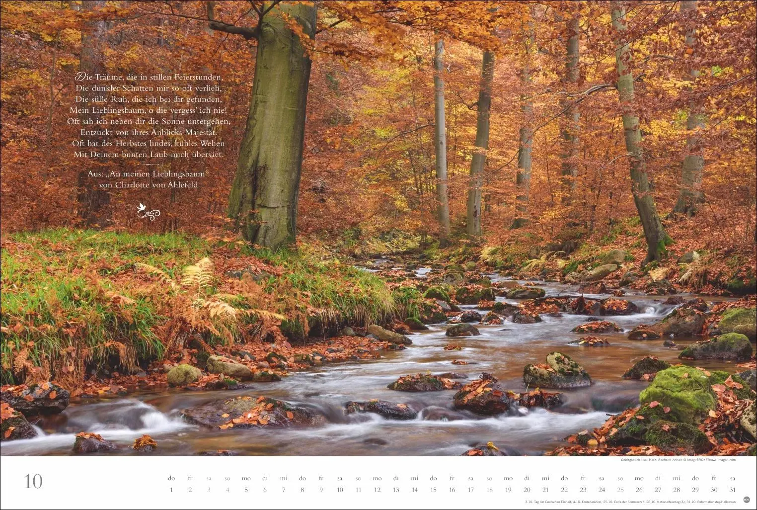 Bild: 9783756410910 | Der deutsche Wald - Ein literarischer Spaziergang Kalender 2026 -...