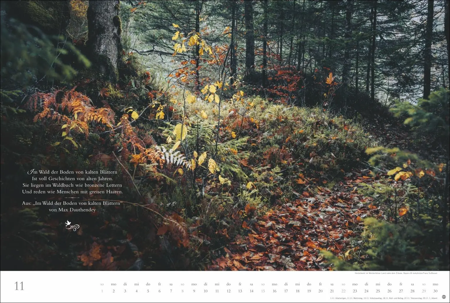 Bild: 9783756410910 | Der deutsche Wald - Ein literarischer Spaziergang Kalender 2026 -...