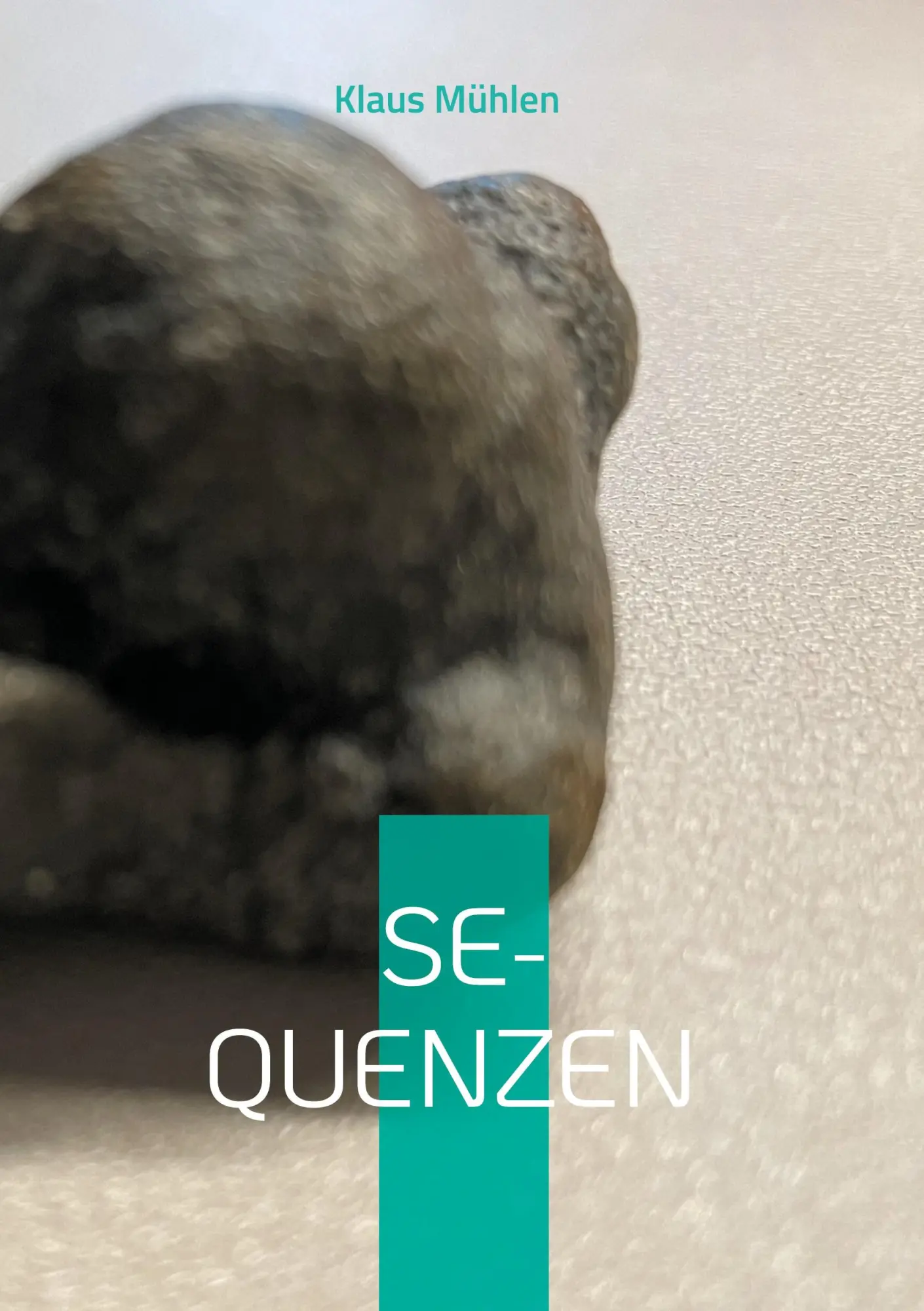 Cover: 9783819250910 | S e q u e n z e n | Ereignisse in Gedankenspiele | Klaus Mühlen | Buch
