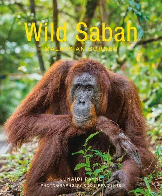 Cover: 9781912081110 | Wild Sabah | Junaidi Payne | Taschenbuch | Kartoniert / Broschiert