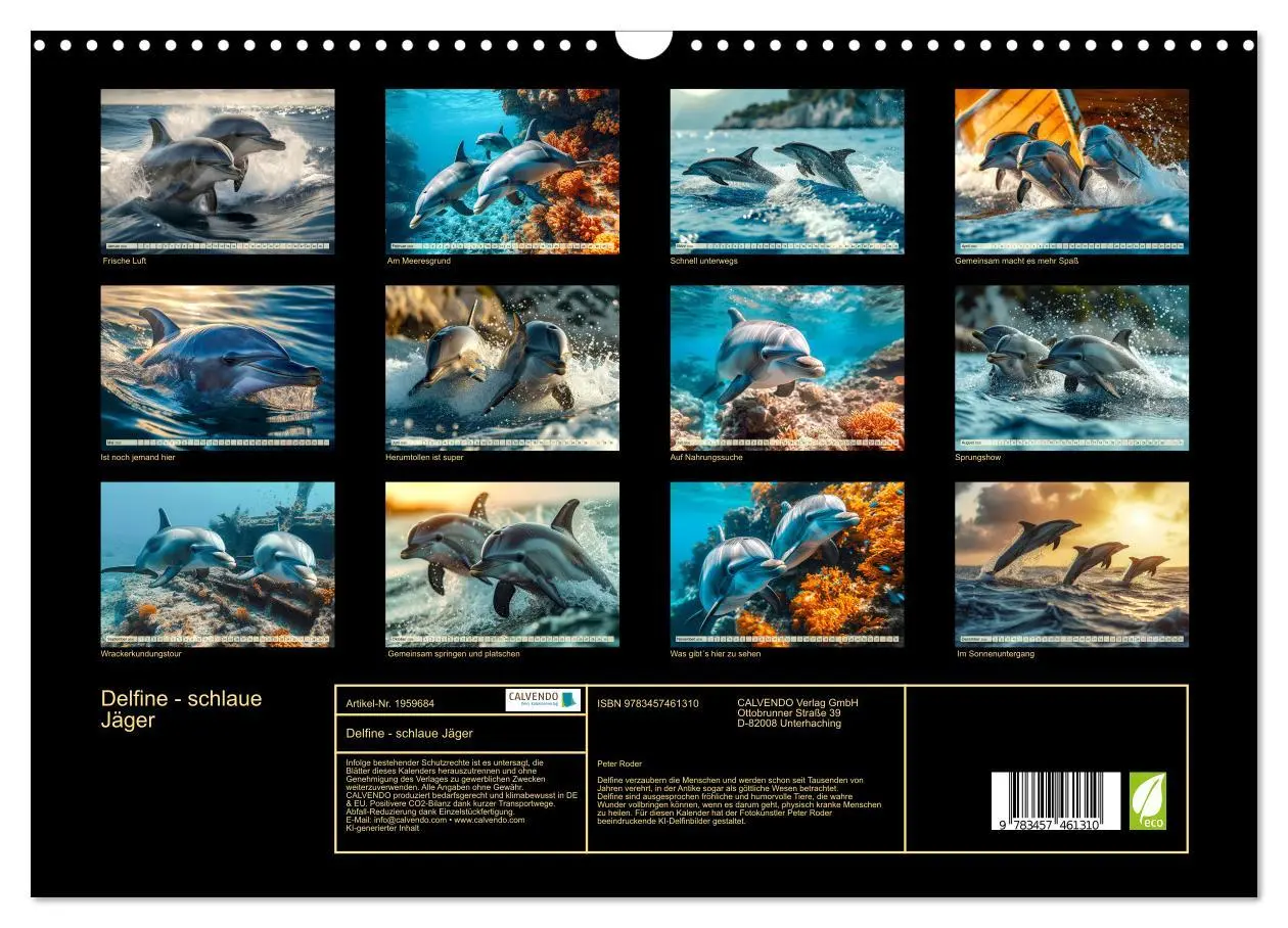 Bild: 9783457461310 | Delfine - schlaue Jäger (Wandkalender 2026 DIN A3 quer), CALVENDO...