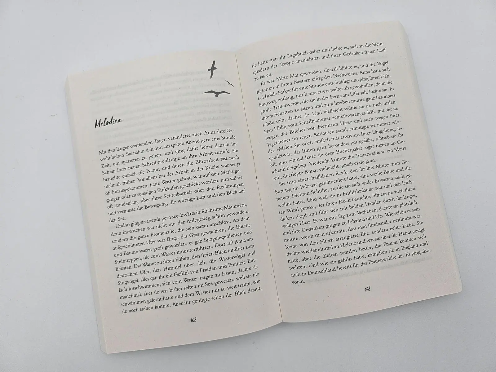 Bild: 9783492321310 | Hoffnung auf eine glückliche Zukunft | Gaby Hauptmann | Taschenbuch