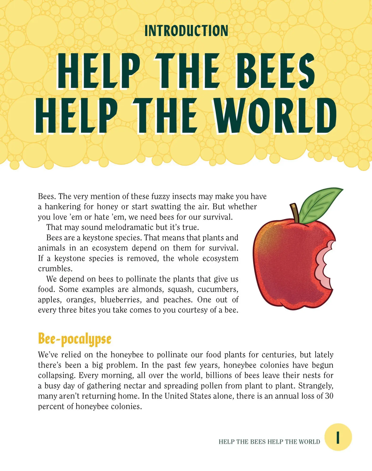 Bild: 9781523501410 | Turn This Book Into a Beehive! | Lynn Brunelle | Taschenbuch | 2018