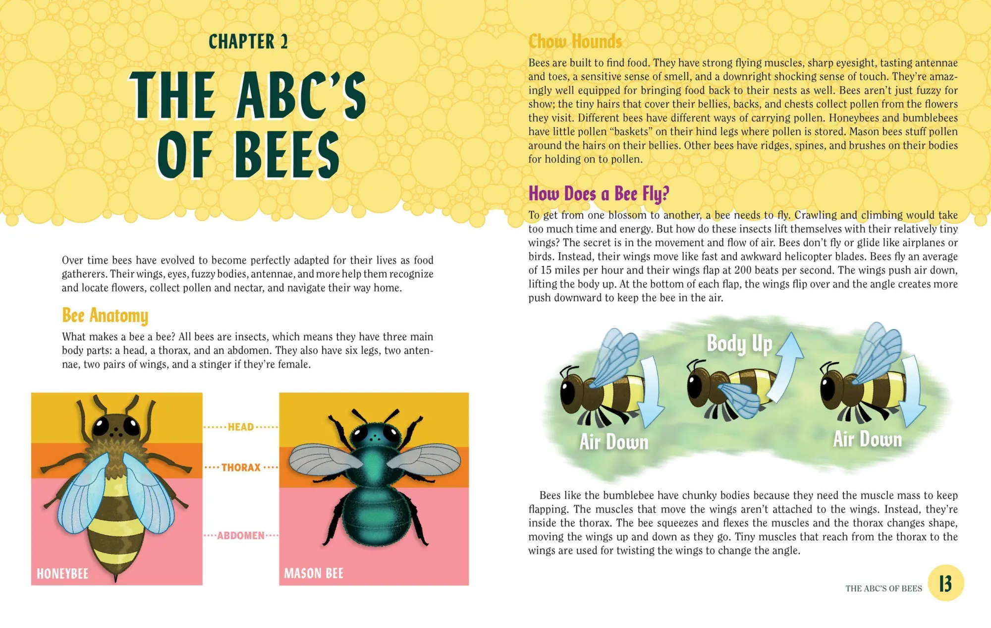 Bild: 9781523501410 | Turn This Book Into a Beehive! | Lynn Brunelle | Taschenbuch | 2018