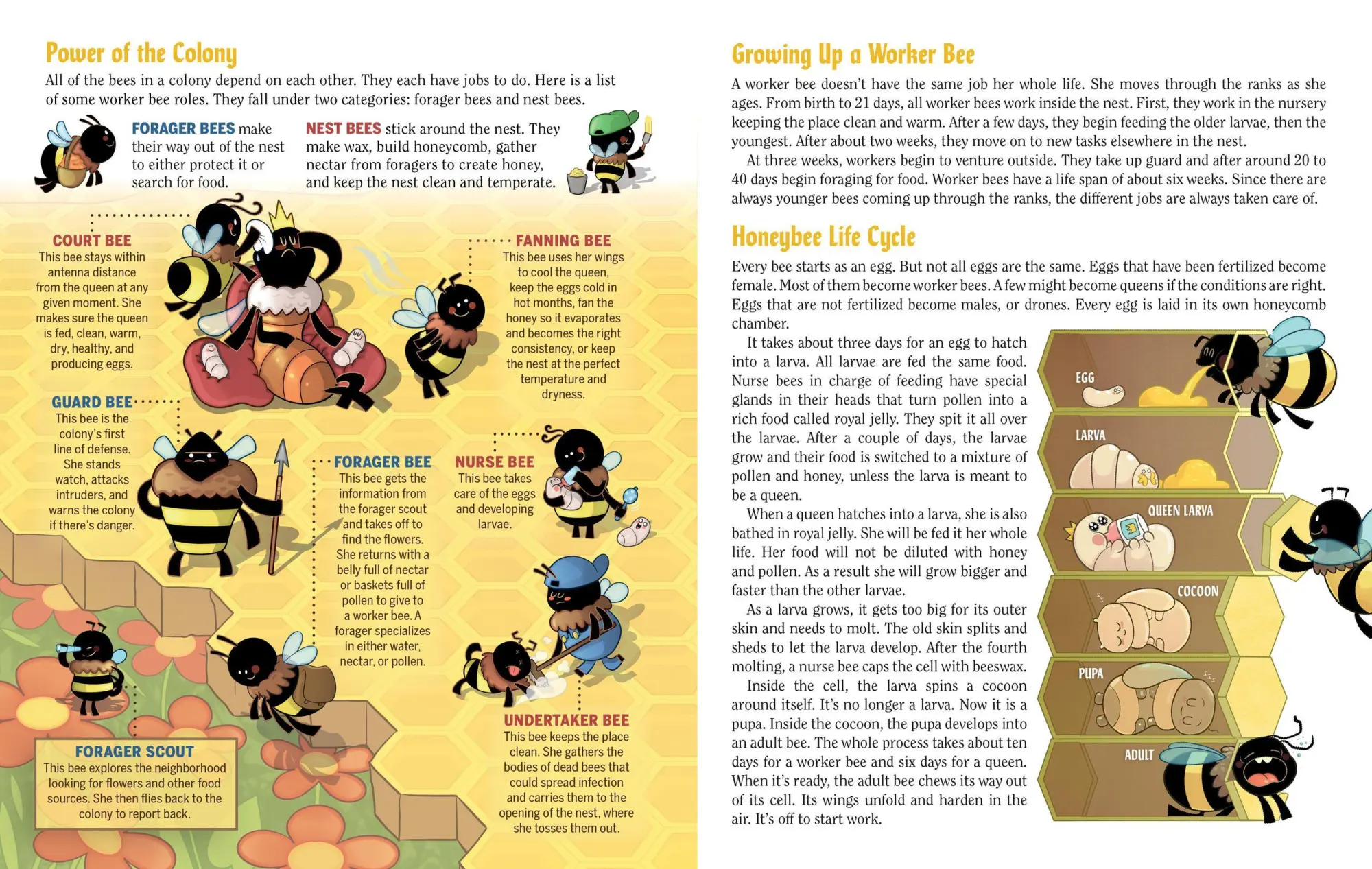 Bild: 9781523501410 | Turn This Book Into a Beehive! | Lynn Brunelle | Taschenbuch | 2018