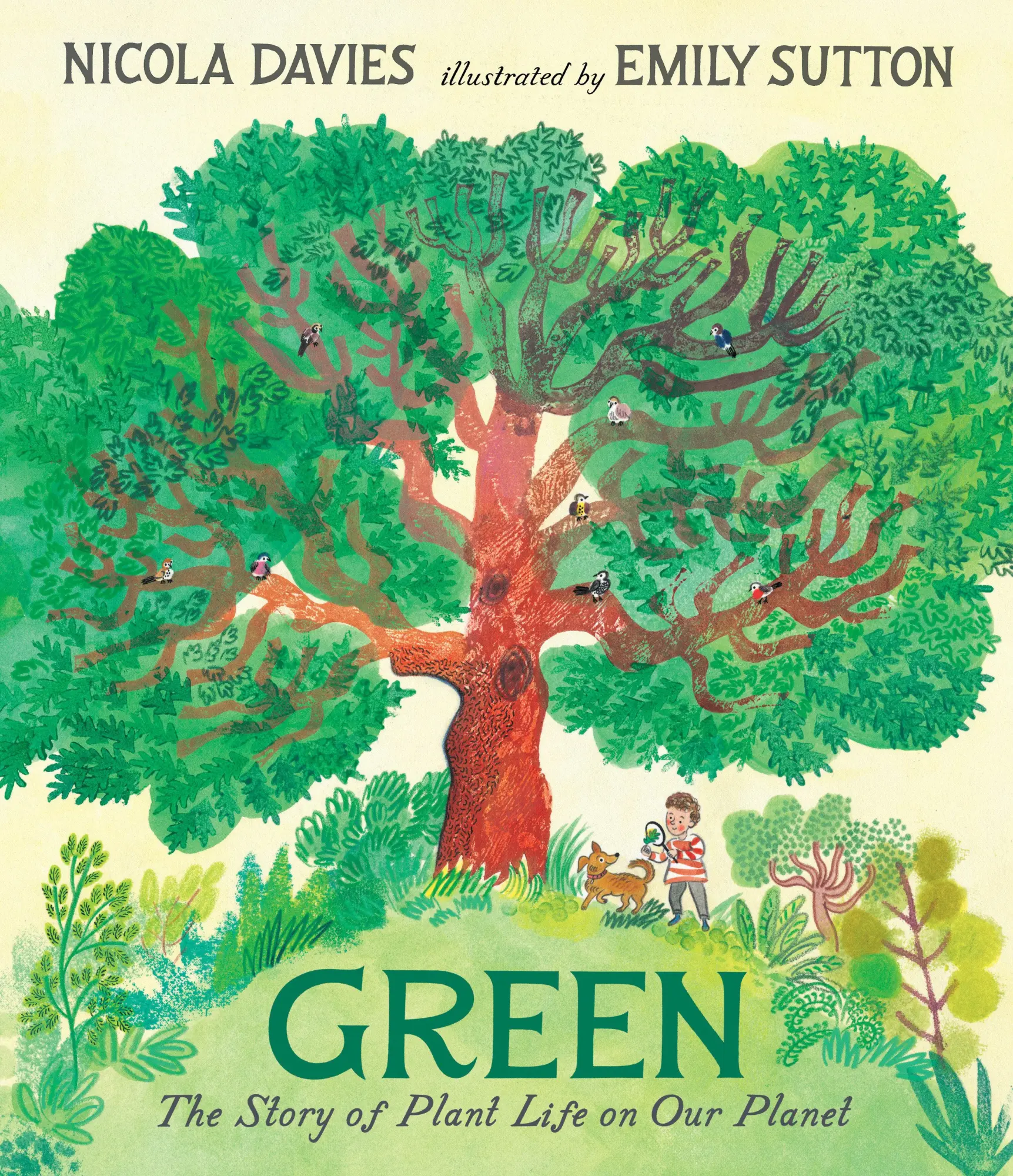 Cover: 9781536231410 | Green: The Story of Plant Life on Our Planet | Nicola Davies | Buch