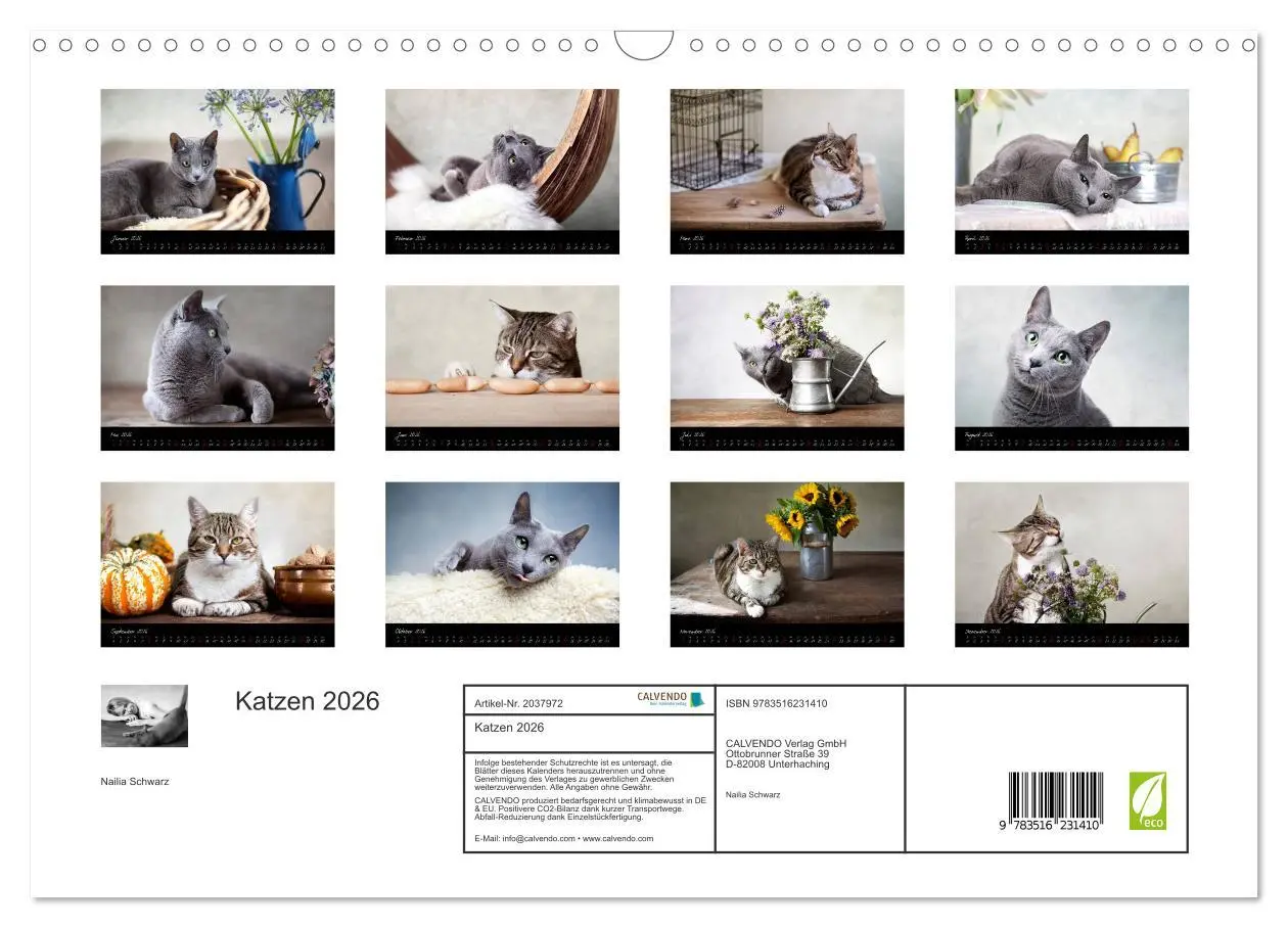 Bild: 9783516231410 | Katzen 2026 (Wandkalender 2026 DIN A3 quer), CALVENDO Monatskalender