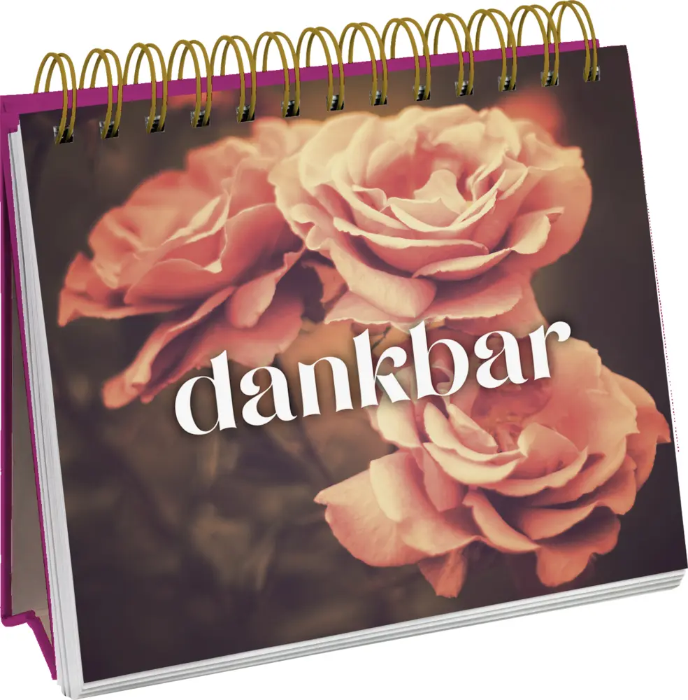 Bild: 9783848501410 | Das Glück ist in mir. Kleine Affirmationen für jeden Tag | Groh Verlag
