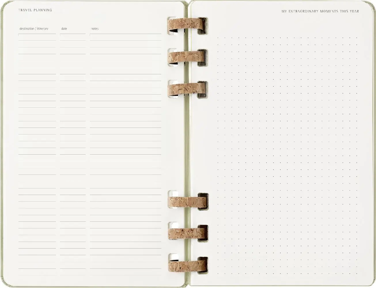 Bild: 8056999271510 | Moleskine 12 Monate Planer mit Spiralbindung, L/A5 | Buch | 200 S.