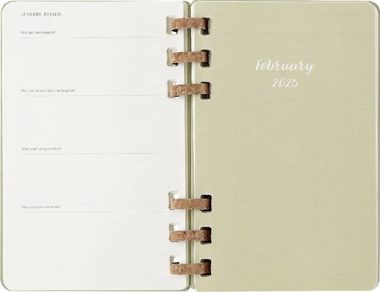 Bild: 8056999271510 | Moleskine 12 Monate Planer mit Spiralbindung, L/A5 | Buch | 200 S.
