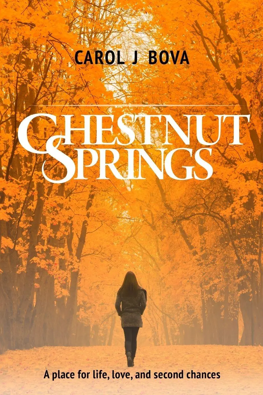 Cover: 9780990741510 | Chestnut Springs | Carol J. Bova | Taschenbuch | Englisch | 2017