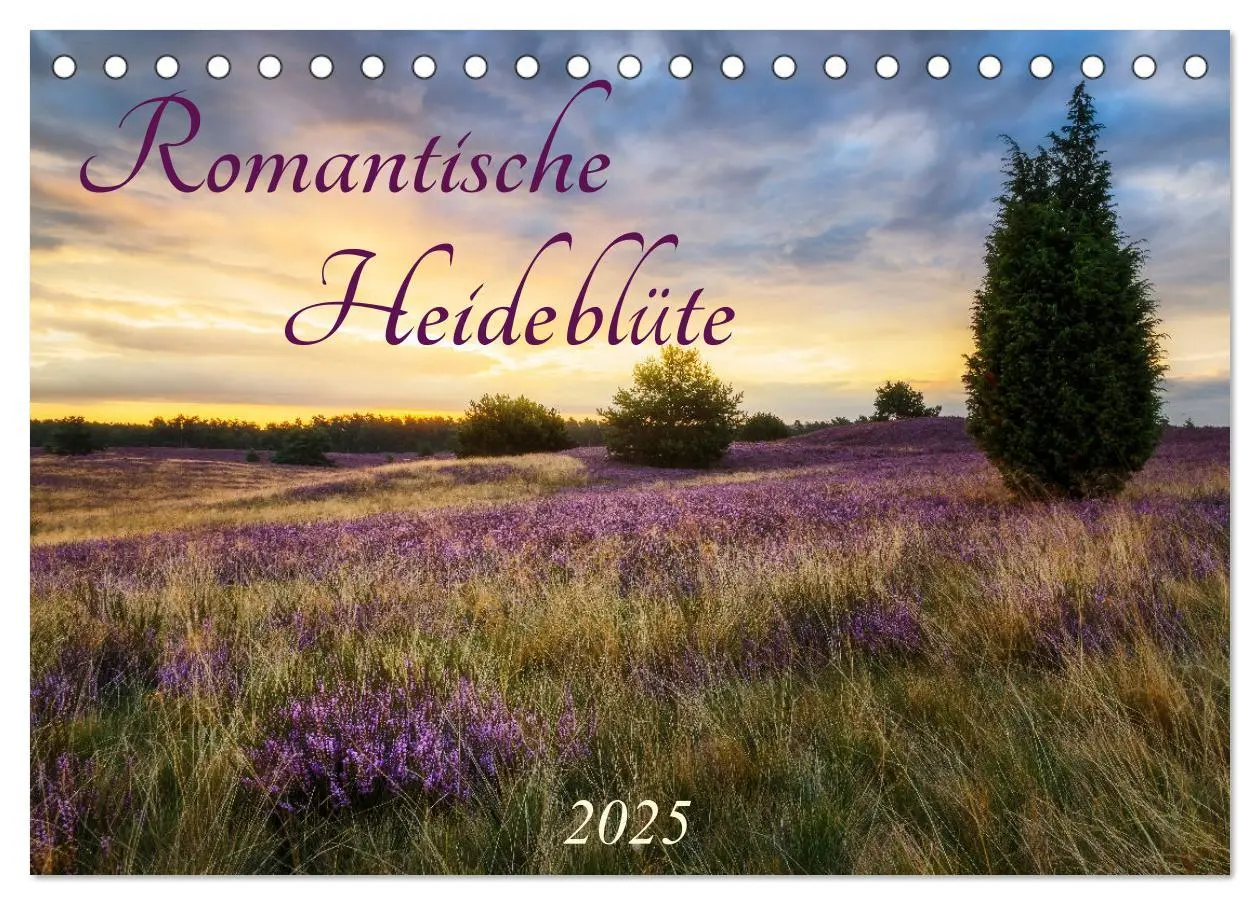 Cover: 9783383951510 | Romantische Heideblüte (Tischkalender 2025 DIN A5 quer), CALVENDO...