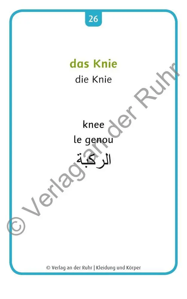 Bild: 9783834631510 | Kleidung und Körper | Redaktionsteam Verlag an der Ruhr | Box | 64 S.