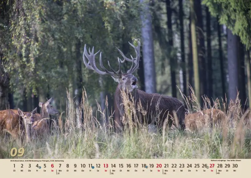 Bild: 9783957561510 | Glanzlichter Erzgebirge 2026 | Jörg Neubert | Kalender | Deutsch