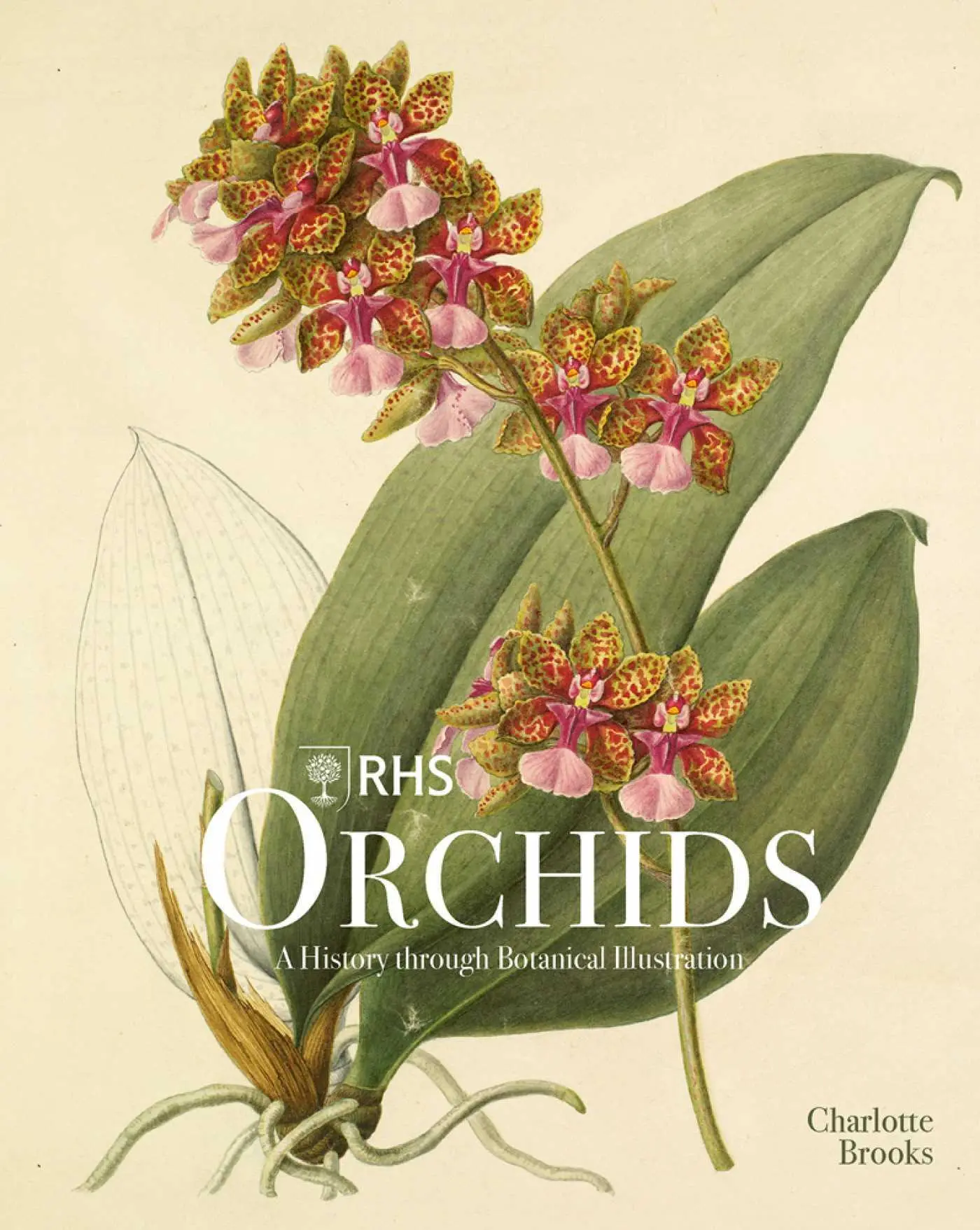 Cover: 9781788841610 | RHS Orchids | Charlotte Brooks | Buch | 256 S. | Englisch | 2022